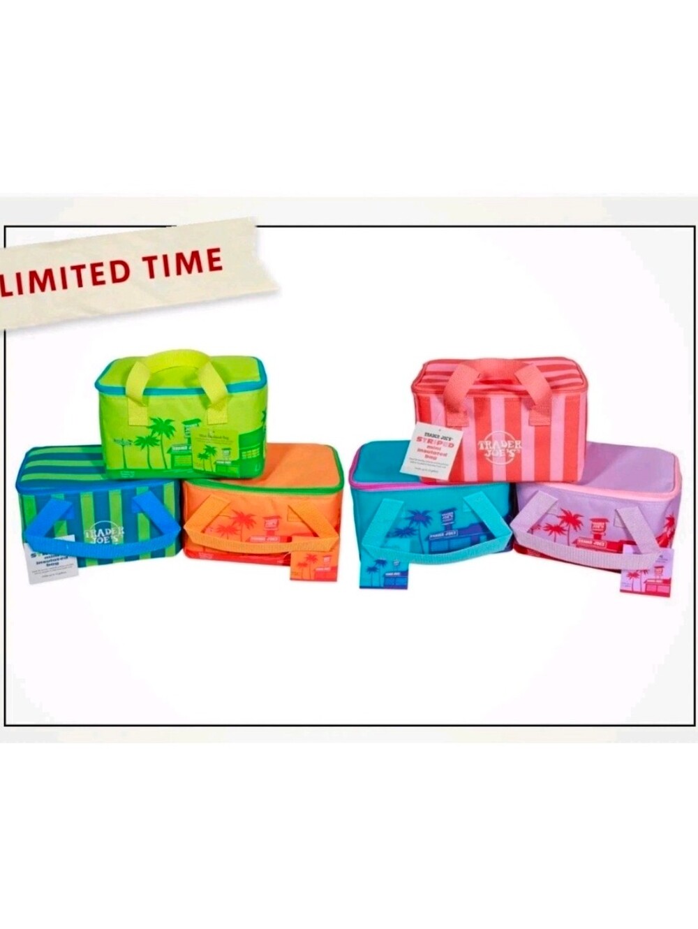 Trader Joe Mini Insulated Cooler Tote Bags 2026 - FULL SET - Limited Edition